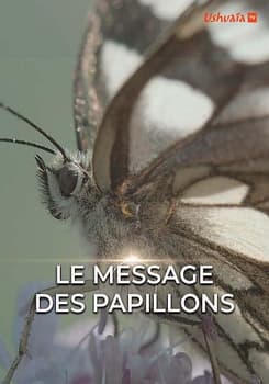 Послание бабочек (2021)