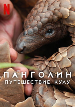 Панголин: Путешествие Кулу (2025)